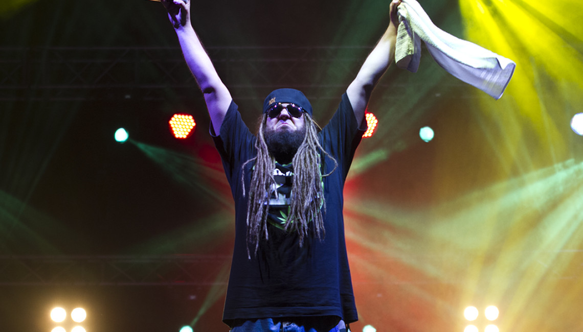 Bednarek, Yanaz, Paxon, Silesian Sound System na Mini Reggae Fest 2016