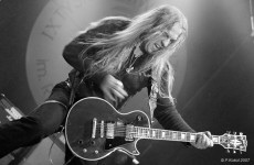 Ekspresowy Konkurs Złe Psy - rozwiązanie konkursu!