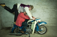 Bracia Figo Fagot na topie