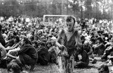 Prześwietlą festiwalową publiczność 