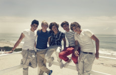 Polski sukces One Direction