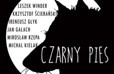Czarny Pies w trasie koncertowej