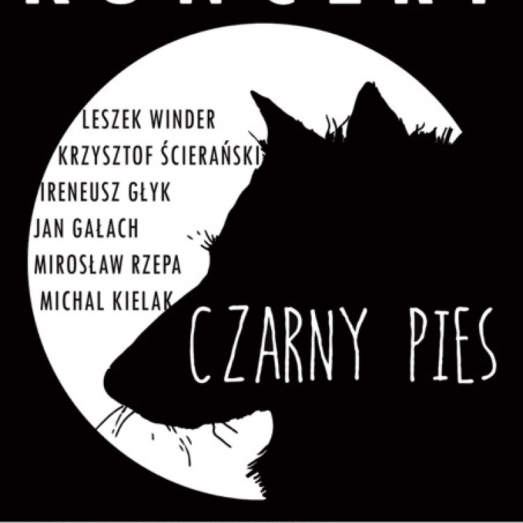 Czarny Pies w trasie koncertowej